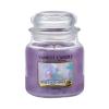 Yankee Candle Sweet Nothings Duftkerze 411 g