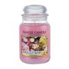 Yankee Candle Fresh Cut Roses Duftkerze 623 g