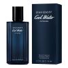 Davidoff Cool Water Intense Eau de Parfum für Herren 75 ml