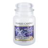 Yankee Candle Midnight Jasmine Duftkerze 623 g