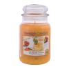 Yankee Candle Calamansi Cocktail Duftkerze 623 g