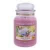 Yankee Candle Sunny Daydream Duftkerze 623 g