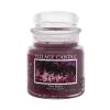 Village Candle Palm Beach Duftkerze 389 g