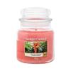 Yankee Candle The Last Paradise Duftkerze 411 g