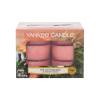 Yankee Candle The Last Paradise Duftkerze 117,6 g