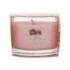 Yankee Candle Tranquil Garden Duftkerze 37 g