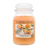 Yankee Candle Mango Ice Cream Duftkerze 623 g