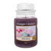 Yankee Candle Berry Mochi Duftkerze 623 g