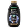 Garnier Botanic Therapy Magnetic Charcoal &amp; Black Seed Oil Shampoo für Frauen 400 ml