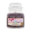 Yankee Candle Berry Mochi Duftkerze 104 g