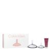 Calvin Klein Euphoria SET2 Geschenkset Eau de Parfum 100 ml + Körpermilch 100 ml + Eau de Parfum 30 ml