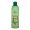 Xpel Botanical Aloe Vera Moisturising Vegan Shampoo Shampoo für Frauen 400 ml