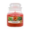 Yankee Candle The Last Paradise Duftkerze 104 g