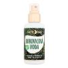 Purity Vision Pine Bio Water Gesichtswasser und Spray 100 ml