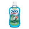 Odol Stoma Paradentol Mundwasser 500 ml