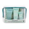 PAYOT Pâte Grise Anti Blemish Kit Geschenkset Reinigungsgel 50 ml + Gesichtsgel 30 ml + Gesichtsmaske 15 ml + Etui