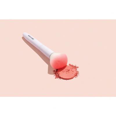 Wet n Wild Brushes Blush Pinsel für Frauen 1 St.