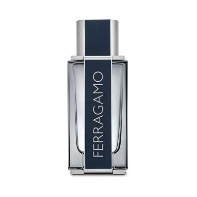 Ferragamo Ferragamo Eau de Toilette für Herren 100 ml