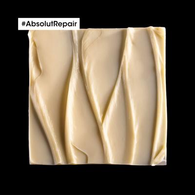 L&#039;Oréal Professionnel Absolut Repair Professional Mask Haarmaske für Frauen 250 ml