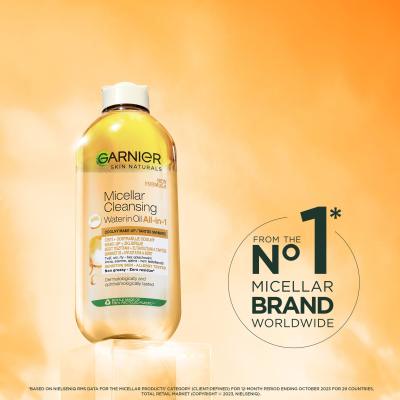 Garnier Skin Naturals Two-Phase Micellar Water All In One Mizellenwasser für Frauen 400 ml