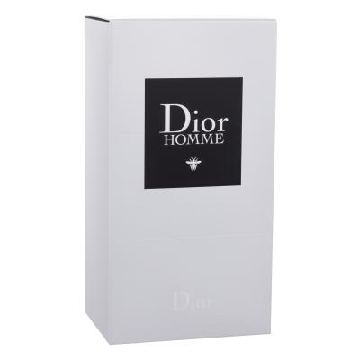 Dior Dior Homme 2020 Eau de Toilette für Herren 150 ml