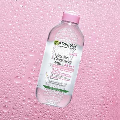 Garnier Skin Naturals Rose Cream Gift Set Geschenkset Tagescreme Skin Naturals Rose Cream 50 ml + Mizellenwasser Skin Naturals Micellar Cleansing Water All-In-1 400 ml