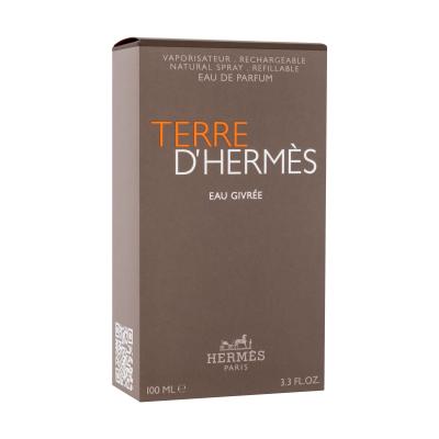 Hermes Terre d´Hermès Eau Givrée Eau de Parfum für Herren 100 ml