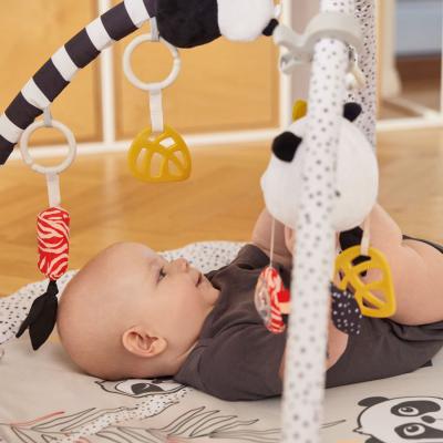 Canpol babies BabiesBoo Sensory Educational Play Mat Spielzeug für Kinder 1 St.