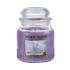 Yankee Candle Sweet Nothings Duftkerze 411 g