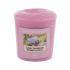 Yankee Candle Sunny Daydream Duftkerze 49 g