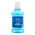 Oral-B Complete Lasting Freshness Artic Mint Mundwasser 250 ml