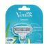 Gillette Venus Smooth Ersatzklinge für Frauen Set