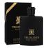 Trussardi Black Extreme Eau de Toilette für Herren 100 ml