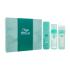 Wella Professionals Invigo Volume Boost Geschenkset Shampoo Invigo Volume Boost 250 ml + Haarmaske Invigo Volume Boost 145 ml + Styling-Fixierschaum Invigo Volume Boost 150 ml