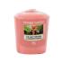 Yankee Candle The Last Paradise Duftkerze 49 g