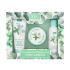 Xpel Eucalyptus & Peppermint Foot Care Kit Geschenkset Fußcreme Eucalyptus & Peppermint Foot Cream 100 ml + Fußbad Eucalyptus & Peppermint Foot Soak 100 ml + Fußpeeling Eucalyptus & Peppermint Foot Scrub 100 ml