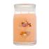 Yankee Candle Signature Mango Ice Cream Duftkerze 567 g