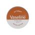 Vaseline Lip Therapy Cocoa Butter Lippenbalsam für Frauen 20 g