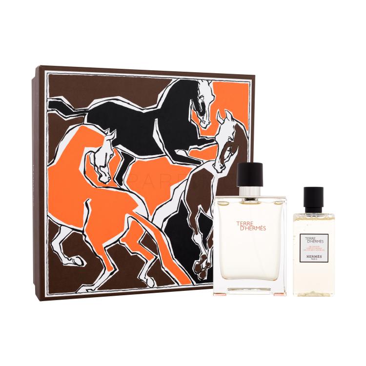 Hermes Terre d´Hermès SET2 Geschenkset Eau de Toilette 100 ml + Duschgel 80 ml