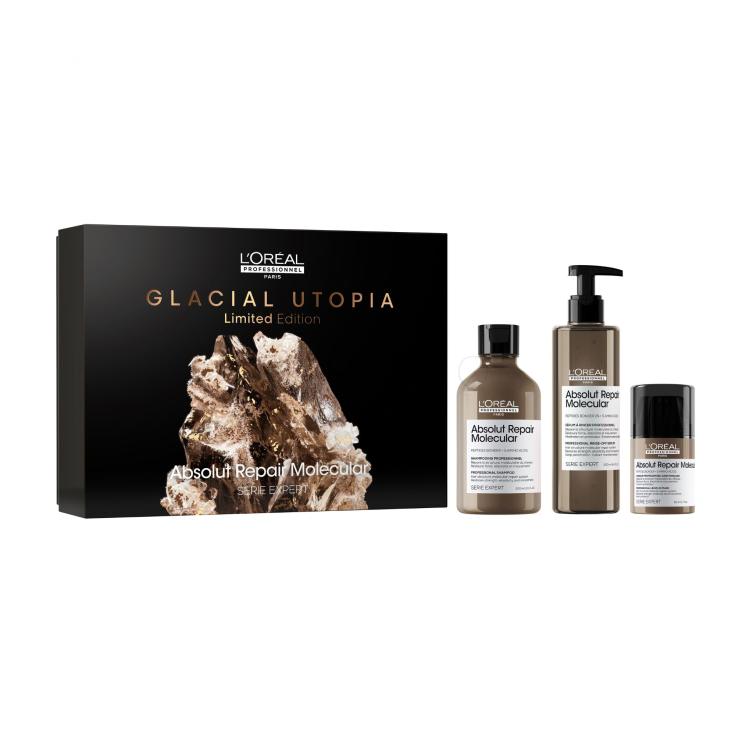 L&#039;Oréal Professionnel Absolut Repair Molecular Glacial Utopia Limited Edition Geschenkset Absolut Repair Molecular Professional Shampoo 300 ml + Haarserum Absolut Repair Molecular Professional Rinse-Off Serum 250 ml + Haarmaske Professional Leave-In Mask 50 ml